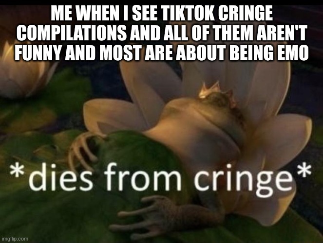 Tiktok:Don't get it, don't be like me | ME WHEN I SEE TIKTOK CRINGE COMPILATIONS AND ALL OF THEM AREN'T FUNNY AND MOST ARE ABOUT BEING EMO | image tagged in dies from cringe | made w/ Imgflip meme maker