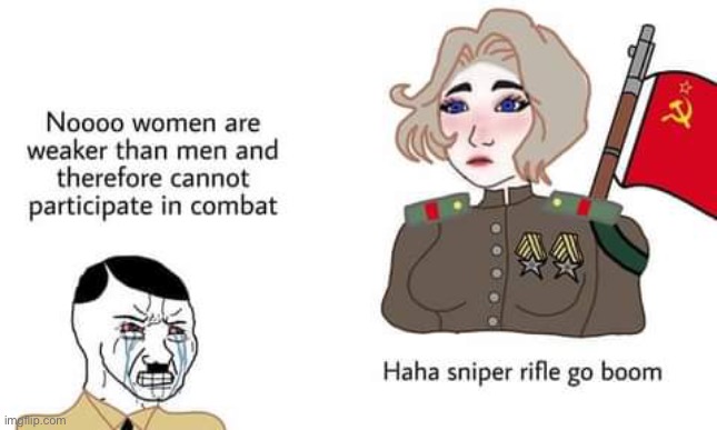 Lyudmila Mikhailovna Pavlichenko with 309 kills confirmed | image tagged in history memes | made w/ Imgflip meme maker
