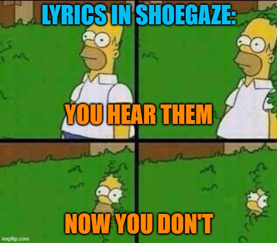 Shoegaze lyrics | LYRICS IN SHOEGAZE:; YOU HEAR THEM; NOW YOU DON'T | image tagged in shoegaze,music,lyrics,vocals,shoegaze memes,dreampop | made w/ Imgflip meme maker