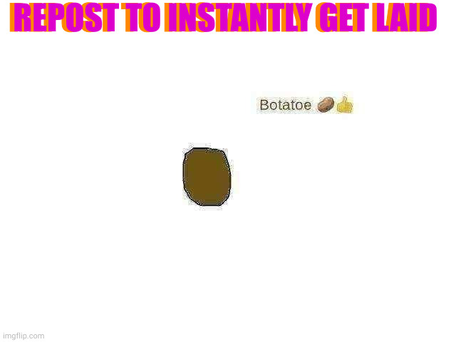 idk | REPOST TO INSTANTLY GET LAID; REPOST TO INSTANTLY GET LAID | image tagged in botatoe | made w/ Imgflip meme maker