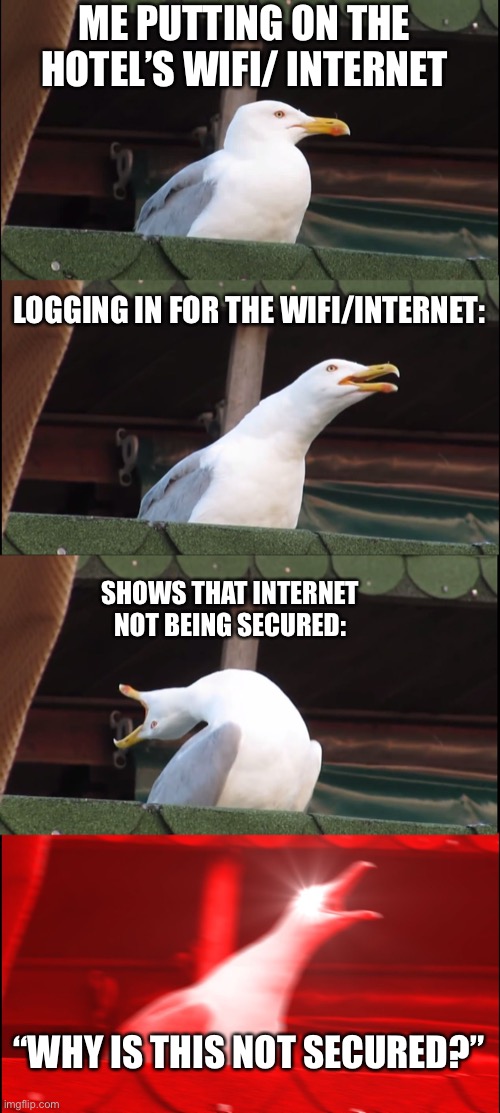 w h y. | ME PUTTING ON THE HOTEL’S WIFI/ INTERNET; LOGGING IN FOR THE WIFI/INTERNET:; SHOWS THAT INTERNET NOT BEING SECURED:; “WHY IS THIS NOT SECURED?” | image tagged in memes,inhaling seagull | made w/ Imgflip meme maker