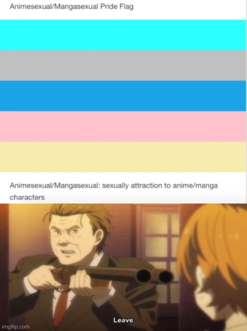 ANIMESEXUAL IS NOT VALID AT ALL BRUH | made w/ Imgflip meme maker