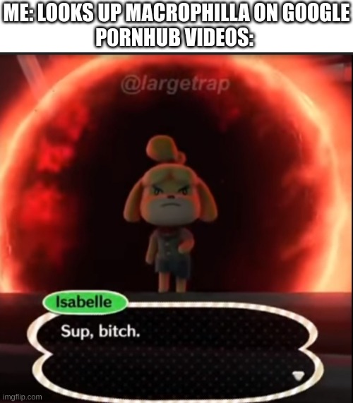 who the fuck makes macrophilla videos on pornhub | ME: LOOKS UP MACROPHILLA ON GOOGLE
P0RNHUB VIDEOS: | image tagged in memes,funny,isabelle sup bitch,macrophilla,pornhub,stop reading the tags | made w/ Imgflip meme maker