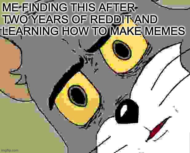 ME FINDING THIS AFTER TWO YEARS OF REDDIT AND LEARNING HOW TO MAKE MEMES | image tagged in memes,unsettled tom | made w/ Imgflip meme maker