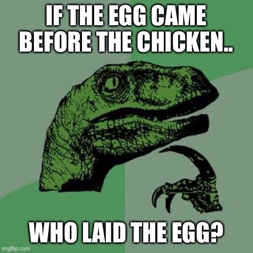 Philosoraptor Meme | IF THE EGG CAME BEFORE THE CHICKEN.. WHO LAID THE EGG? | image tagged in memes,philosoraptor | made w/ Imgflip meme maker