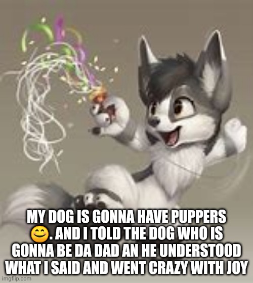 MY DOG IS GONNA HAVE PUPPERS 😊. AND I TOLD THE DOG WHO IS GONNA BE DA DAD AN HE UNDERSTOOD WHAT I SAID AND WENT CRAZY WITH JOY | made w/ Imgflip meme maker