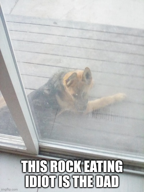 THIS ROCK EATING IDIOT IS THE DAD | made w/ Imgflip meme maker