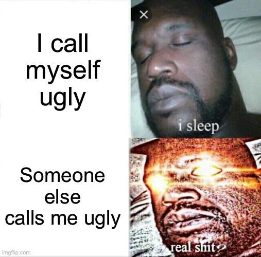 Sleeping Shaq Meme | I call myself ugly Someone else calls me ugly | image tagged in memes,sleeping shaq | made w/ Imgflip meme maker