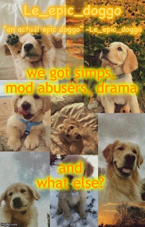 Doggo temp by doggo. Wait what that’s confusing | we got simps, mod abusers, drama; and what else? | image tagged in doggo temp by doggo wait what that s confusing | made w/ Imgflip meme maker
