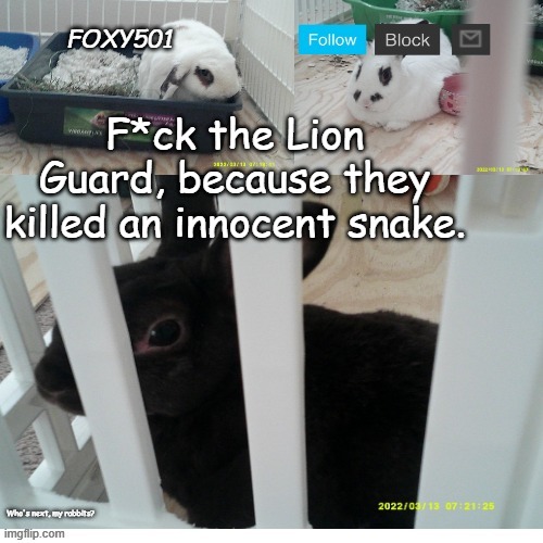 R.I.P Ushari. You will always be remembered. | F*ck the Lion Guard, because they killed an innocent snake. Who's next, my rabbits? | image tagged in foxy501 announcement template,the lion guard,lion guard,kion,is,guilty | made w/ Imgflip meme maker