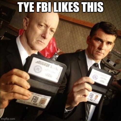 FBI | TYE FBI LIKES THIS | image tagged in fbi | made w/ Imgflip meme maker