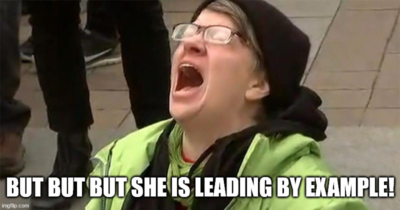 crying liberal | BUT BUT BUT SHE IS LEADING BY EXAMPLE! | image tagged in crying liberal | made w/ Imgflip meme maker