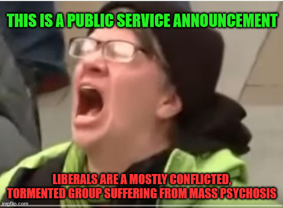 To any sane person, the liberal mindset is truly incomprehensible. | THIS IS A PUBLIC SERVICE ANNOUNCEMENT; LIBERALS ARE A MOSTLY CONFLICTED, TORMENTED GROUP SUFFERING FROM MASS PSYCHOSIS | image tagged in crying liberals | made w/ Imgflip meme maker