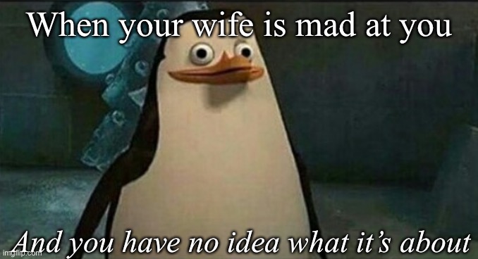 Confused husbands be like | When your wife is mad at you; And you have no idea what it’s about | image tagged in confused private penguin,wife,husband,husband wife,mad | made w/ Imgflip meme maker