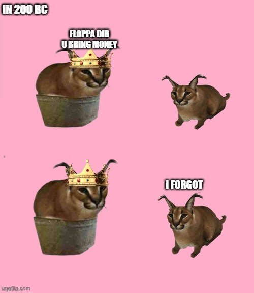 :< | IN 200 BC; FLOPPA DID U BRING MONEY; I FORGOT | image tagged in king floppa | made w/ Imgflip meme maker