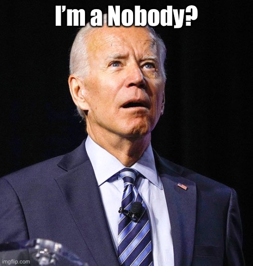 Joe Biden | I’m a Nobody? | image tagged in joe biden | made w/ Imgflip meme maker