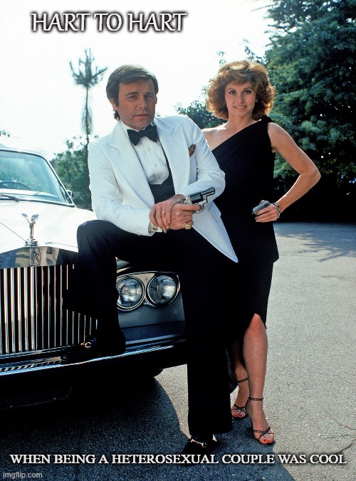 Traditional | HART TO HART; WHEN BEING A HETEROSEXUAL COUPLE WAS COOL | image tagged in hart to hart,heterosexual,alpha-male,tradition,rich,couples | made w/ Imgflip meme maker