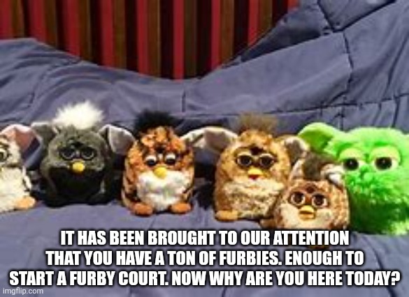 IT HAS BEEN BROUGHT TO OUR ATTENTION THAT YOU HAVE A TON OF FURBIES. ENOUGH TO START A FURBY COURT. NOW WHY ARE YOU HERE TODAY? | made w/ Imgflip meme maker
