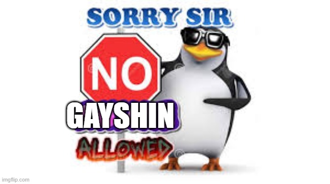 NO Anime Allowed | GAYSHIN | image tagged in no anime allowed | made w/ Imgflip meme maker