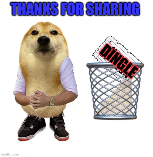 Thanks for sharing your opinion | THANKS FOR SHARING DINGLE | image tagged in thanks for sharing your opinion | made w/ Imgflip meme maker