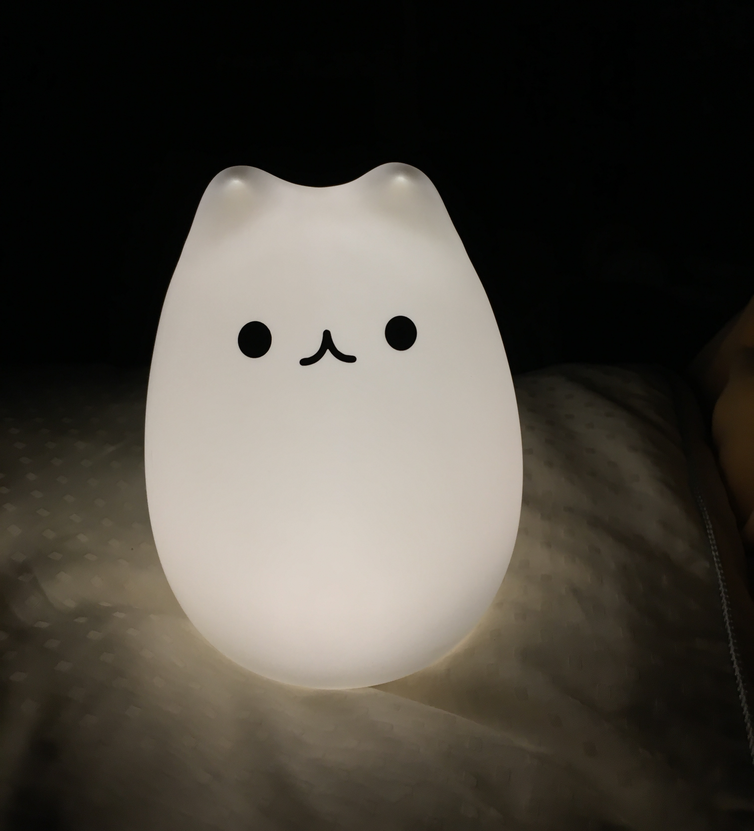 Glow Cat Blank Meme Template