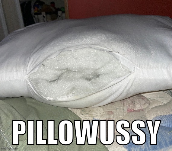 1 last thing before i go | PILLOWUSSY | made w/ Imgflip meme maker