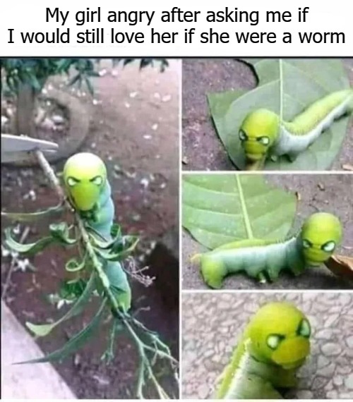 My girl angry after asking me if I would still love her if she were a worm | image tagged in worm | made w/ Imgflip meme maker