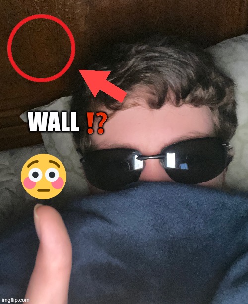 WALL ⁉️ | made w/ Imgflip meme maker