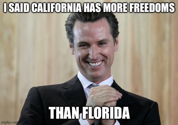 Scheming Gavin Newsom  | I SAID CALIFORNIA HAS MORE FREEDOMS THAN FLORIDA | image tagged in scheming gavin newsom | made w/ Imgflip meme maker