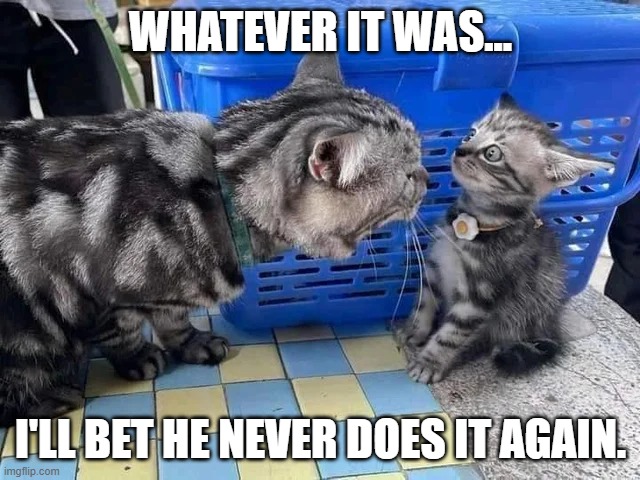 Yes Mom | WHATEVER IT WAS... I'LL BET HE NEVER DOES IT AGAIN. | image tagged in kitten,momma cat | made w/ Imgflip meme maker