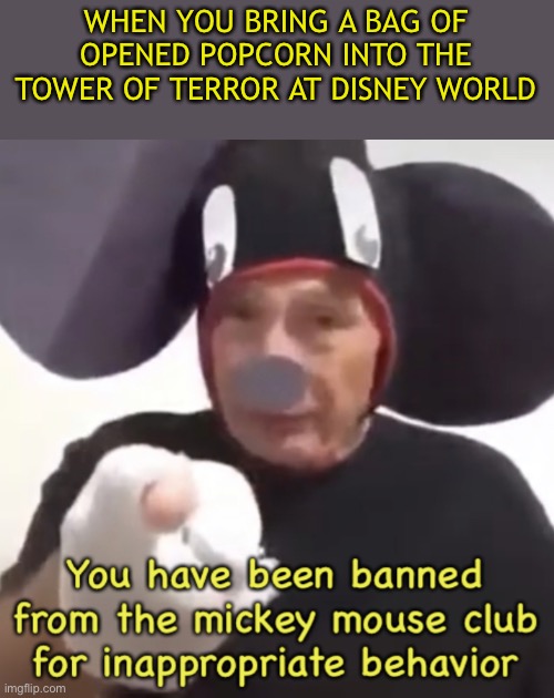 Who Cares If Popcorn Lands on A Five Year Old? They Prolly Have Seen Worse Anyways. | WHEN YOU BRING A BAG OF OPENED POPCORN INTO THE TOWER OF TERROR AT DISNEY WORLD | image tagged in banned from the mickey mouse club | made w/ Imgflip meme maker