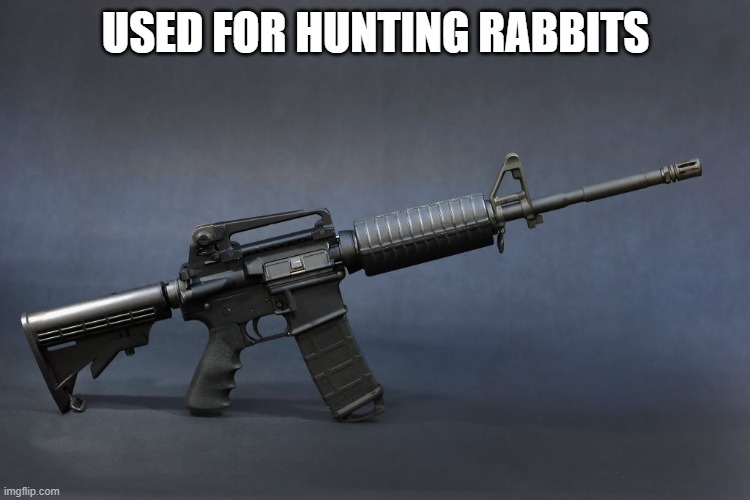 Duh Rabbit Hunter | USED FOR HUNTING RABBITS | image tagged in ar-15 | made w/ Imgflip meme maker