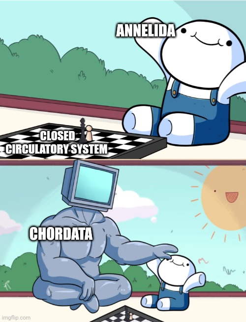 odd1sout vs computer chess | ANNELIDA; CLOSED CIRCULATORY SYSTEM; CHORDATA | image tagged in odd1sout vs computer chess | made w/ Imgflip meme maker