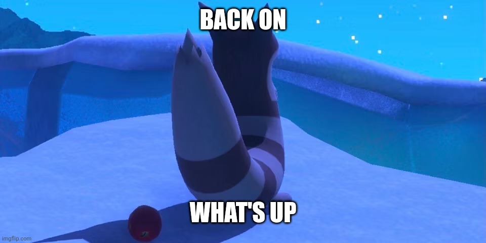 Furret | BACK ON; WHAT'S UP | image tagged in furret | made w/ Imgflip meme maker