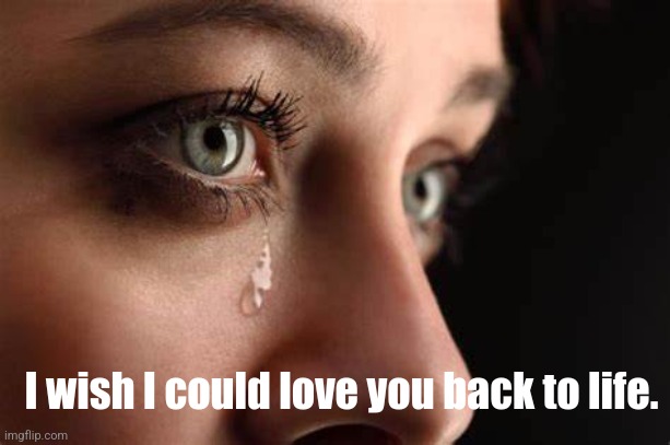 Love Couldn't Bring You Back | I wish I could love you back to life. | image tagged in grief,true love | made w/ Imgflip meme maker