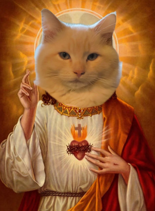 High Quality Cat Jesus Blank Meme Template