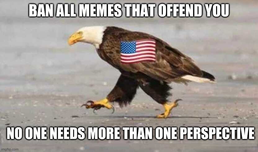 BAN ALL MEMES THAT OFFEND YOU NO ONE NEEDS MORE THAN ONE PERSPECTIVE | made w/ Imgflip meme maker