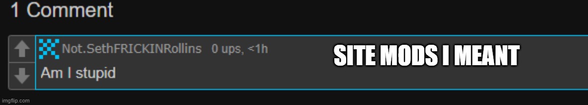 Also not deleting, just leaving for a period of time(responce for Shade) | SITE MODS I MEANT | made w/ Imgflip meme maker
