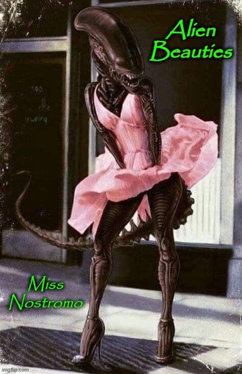 Miss Nostromo | image tagged in scariest things on earth | made w/ Imgflip meme maker