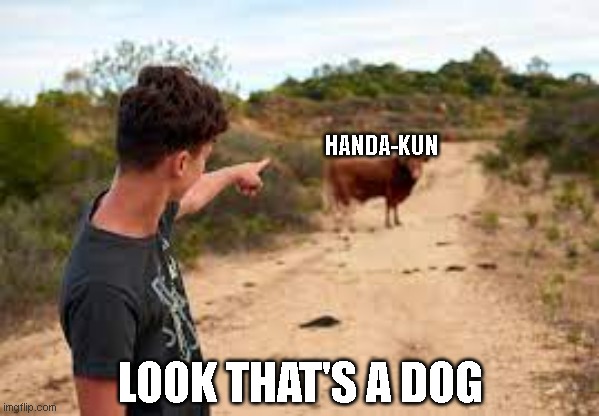 HANDA-KUN; LOOK THAT'S A DOG | image tagged in memes | made w/ Imgflip meme maker