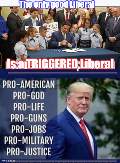 They can all go to HELL | The only good Liberal; Is a TRIGGERED Liberal | image tagged in triggered liberal,just say no,vote,republican | made w/ Imgflip meme maker