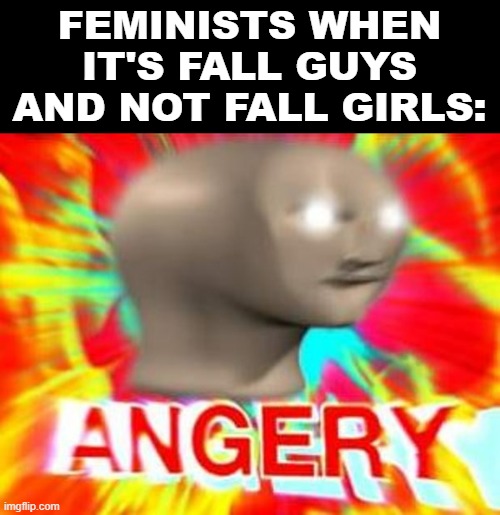 Surreal Angery | FEMINISTS WHEN IT'S FALL GUYS AND NOT FALL GIRLS: | image tagged in surreal angery | made w/ Imgflip meme maker