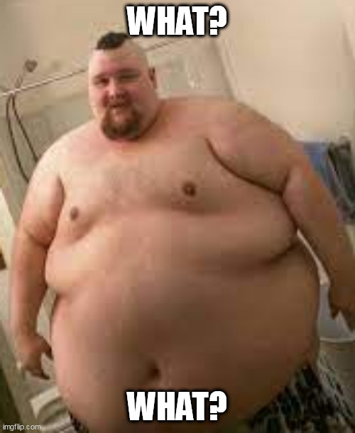 fat man | WHAT? WHAT? | image tagged in fat man | made w/ Imgflip meme maker