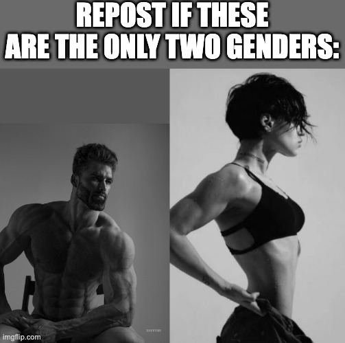 NewTemplates female giga chad Memes & GIFs - Imgflip