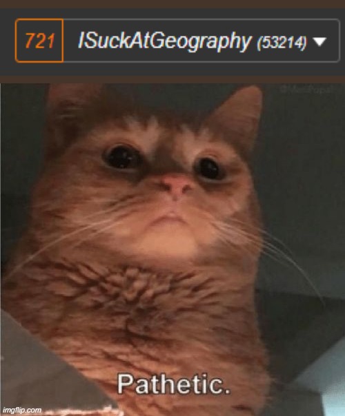 Pathetic Cat | image tagged in pathetic cat | made w/ Imgflip meme maker