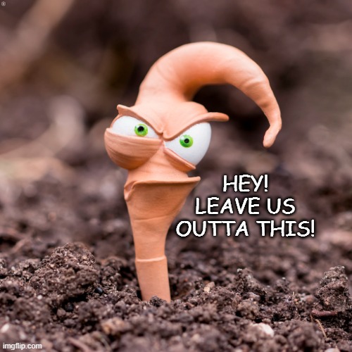 earthworm jim | HEY! LEAVE US OUTTA THIS! | image tagged in earthworm jim | made w/ Imgflip meme maker