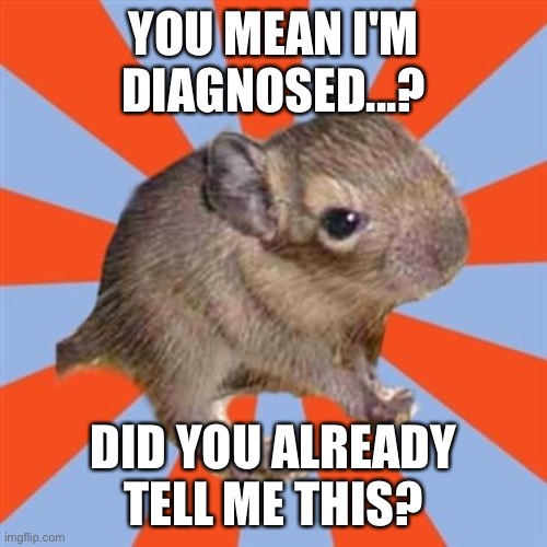 forgetting you have Dissociative Identity Disorder | YOU MEAN I'M DIAGNOSED...? DID YOU ALREADY TELL ME THIS? | image tagged in dissociative degu,amnesia,dissociative identity disorder,did meme,forgot my diagnosis,mental health | made w/ Imgflip meme maker