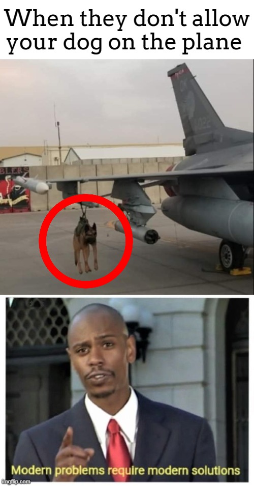 Woof | When they don't allow your dog on the plane | image tagged in modern problems require modern solutions,dog | made w/ Imgflip meme maker