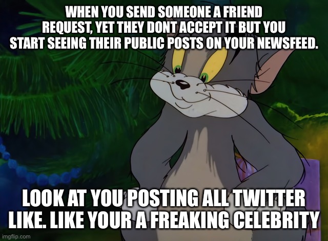 Facebook friend request | WHEN YOU SEND SOMEONE A FRIEND REQUEST, YET THEY DONT ACCEPT IT BUT YOU START SEEING THEIR PUBLIC POSTS ON YOUR NEWSFEED. LOOK AT YOU POSTING ALL TWITTER LIKE. LIKE YOUR A FREAKING CELEBRITY | image tagged in tom,facebook | made w/ Imgflip meme maker