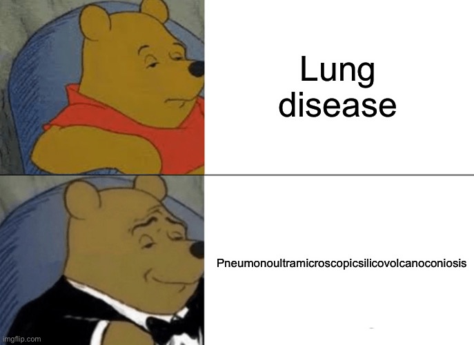 Longest word in the English dictionary | Lung disease; Pneumonoultramicroscopicsilicovolcanoconiosis | image tagged in memes,tuxedo winnie the pooh,long word,funny | made w/ Imgflip meme maker